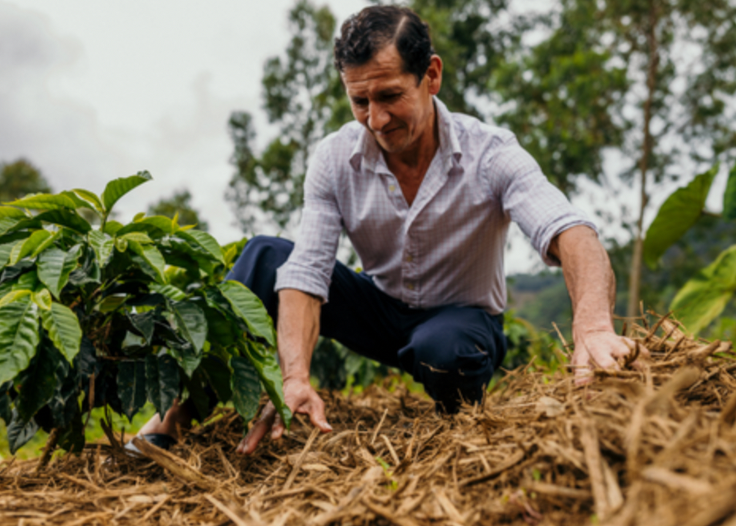Peru Geisha Los Quispe - Anaerobic Washed